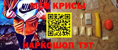 стафф Кингисепп