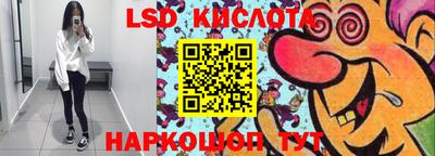 стафф Кингисепп