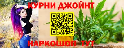 стафф Кингисепп