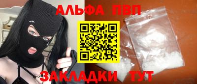 стафф Кингисепп
