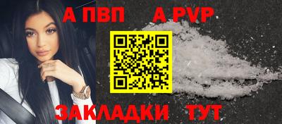 стафф Кингисепп