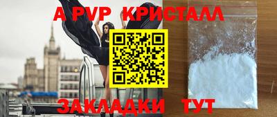 стафф Кингисепп